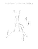 MACROMOLECULE CONJUGATE diagram and image