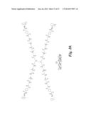 MACROMOLECULE CONJUGATE diagram and image