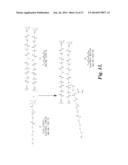 MACROMOLECULE CONJUGATE diagram and image