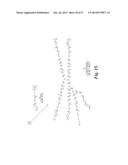 MACROMOLECULE CONJUGATE diagram and image