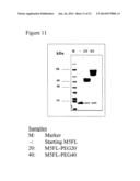 INHIBITORS OF TYPE 2 VASCULAR ENDOTHELIAL GROWTH FACTOR RECEPTORS diagram and image