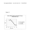 INHIBITORS OF TYPE 2 VASCULAR ENDOTHELIAL GROWTH FACTOR RECEPTORS diagram and image