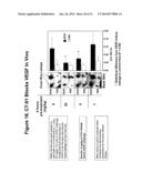 INHIBITORS OF TYPE 2 VASCULAR ENDOTHELIAL GROWTH FACTOR RECEPTORS diagram and image