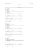 INHIBITORS OF TYPE 2 VASCULAR ENDOTHELIAL GROWTH FACTOR RECEPTORS diagram and image