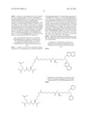 TECHNETIUM- AND RHENIUM-BIS(HETEROARYL) COMPLEXES AND METHODS OF USE     THEREOF diagram and image