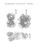 METHODS AND COMPOSITIONS FOR TARGETING POLYUBIQUITIN diagram and image