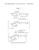 CONJUGATION METHODS diagram and image