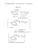 CONJUGATION METHODS diagram and image