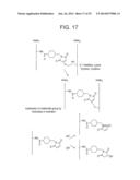 CONJUGATION METHODS diagram and image