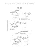 CONJUGATION METHODS diagram and image