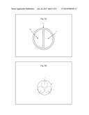 Osmotic Ablation Device diagram and image