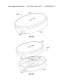 NANOCHANNELED DEVICE AND RELATED METHODS diagram and image