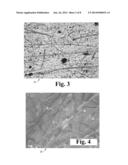 DYNAMIC BIOACTIVE NANOFIBER SCAFFOLDING diagram and image