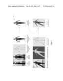 PERCEPTUALLY GUIDED CAPTURE AND STYLIZATION OF 3D HUMAN FIGURES diagram and image