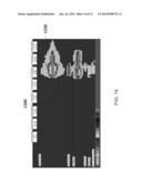 Time Lapsable Motion Image Responsive to Features of Pathophysiologic     Perturbations diagram and image