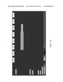 Time Lapsable Motion Image Responsive to Features of Pathophysiologic     Perturbations diagram and image