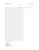 YIELD TRAITS FOR MAIZE diagram and image