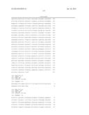 YIELD TRAITS FOR MAIZE diagram and image