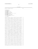 YIELD TRAITS FOR MAIZE diagram and image