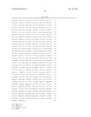 YIELD TRAITS FOR MAIZE diagram and image