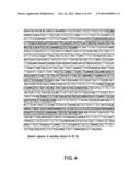 Isolated eIF-5A and Polynucleotides Encoding Same diagram and image