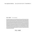 Isolated eIF-5A and Polynucleotides Encoding Same diagram and image