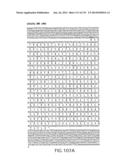 Isolated eIF-5A and Polynucleotides Encoding Same diagram and image