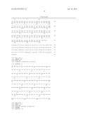 Isolated eIF-5A and Polynucleotides Encoding Same diagram and image