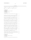 Isolated eIF-5A and Polynucleotides Encoding Same diagram and image