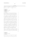 Isolated eIF-5A and Polynucleotides Encoding Same diagram and image