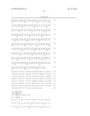 Isolated eIF-5A and Polynucleotides Encoding Same diagram and image