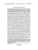 Isolated eIF-5A and Polynucleotides Encoding Same diagram and image