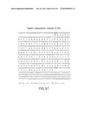 Isolated eIF-5A and Polynucleotides Encoding Same diagram and image