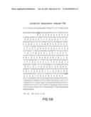 Isolated eIF-5A and Polynucleotides Encoding Same diagram and image