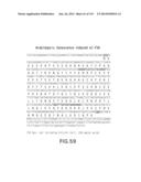 Isolated eIF-5A and Polynucleotides Encoding Same diagram and image