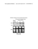 Isolated eIF-5A and Polynucleotides Encoding Same diagram and image