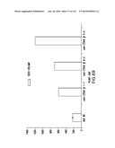 Isolated eIF-5A and Polynucleotides Encoding Same diagram and image