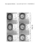 Isolated eIF-5A and Polynucleotides Encoding Same diagram and image