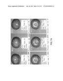 Isolated eIF-5A and Polynucleotides Encoding Same diagram and image