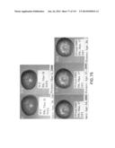 Isolated eIF-5A and Polynucleotides Encoding Same diagram and image