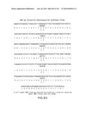 Isolated eIF-5A and Polynucleotides Encoding Same diagram and image