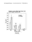 Isolated eIF-5A and Polynucleotides Encoding Same diagram and image