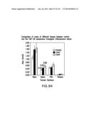 Isolated eIF-5A and Polynucleotides Encoding Same diagram and image