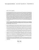 Isolated eIF-5A and Polynucleotides Encoding Same diagram and image