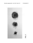 Chrysanthemum plant named  Zanmurageous  diagram and image