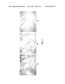 METHOD FOR PRODUCING MODIFIED CELLULOSE diagram and image