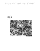 SUBSTANTIALLY ALIGNED BORON NITRIDE NANO-ELEMENT ARRAYS diagram and image