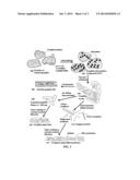 Graphene composite hand-held and hand-heated thawing tool diagram and image