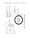 MINERAL SEPARATION USING SIZED-, WEIGHT- OR MAGNETIC-BASED POLYMER BUBBLES     OR BEADS diagram and image