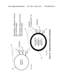 MINERAL SEPARATION USING SIZED-, WEIGHT- OR MAGNETIC-BASED POLYMER BUBBLES     OR BEADS diagram and image